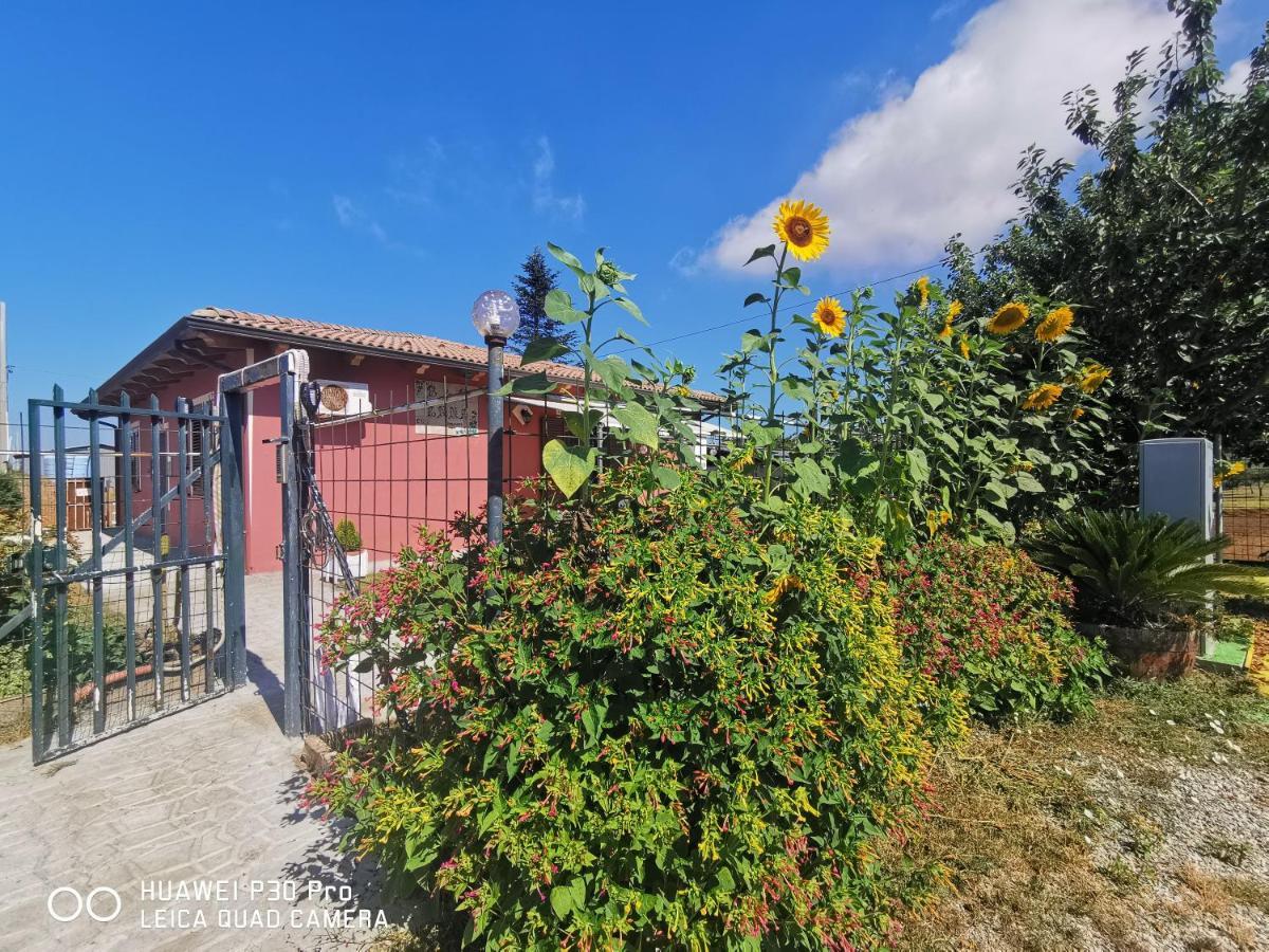 Bed And Breakfast "Anna" Bagnara Calabra Zewnętrze zdjęcie